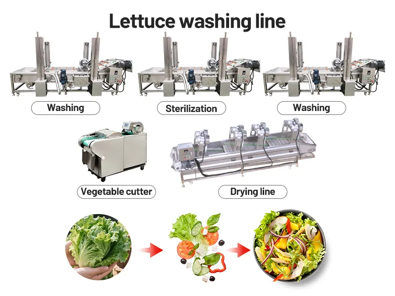 Vegetable salad washing line layout design with washing and air drying machines