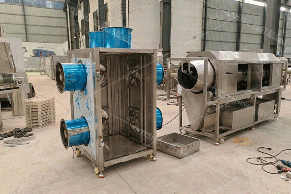  200kg/h Black Truffle Washing and Drying Line 