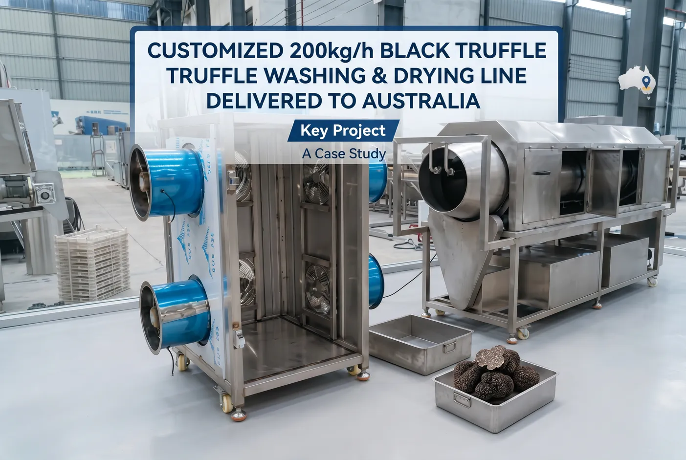 Customized 200kg/h Black Truffle Washing and Drying Line Delivered to Australia