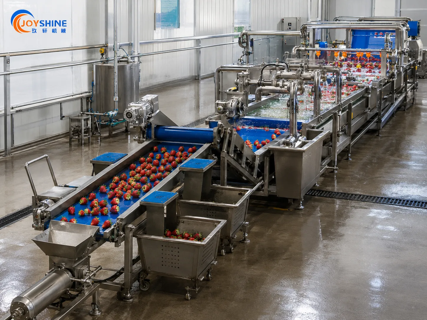 Customized layout for strawberry washing line