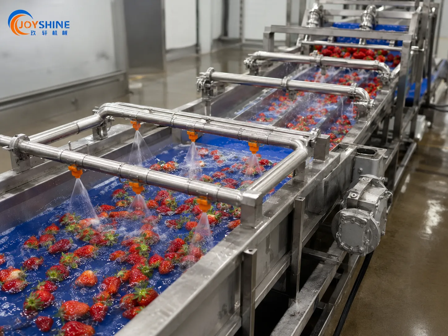 Fresh strawberry washing process for delicate fruit