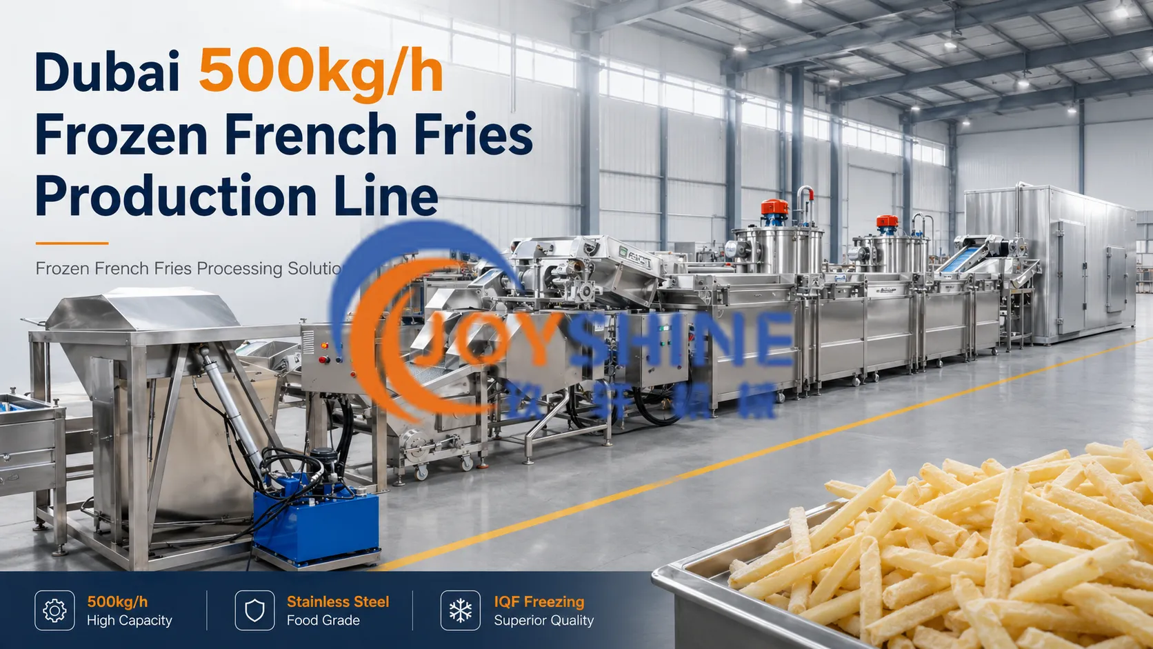 Dubai 500kg/h Frozen French Fries Production Line Case