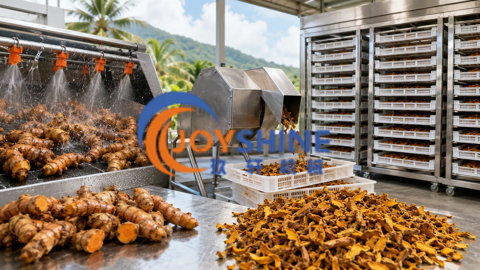 Fiji turmeric washing cutting and drying line