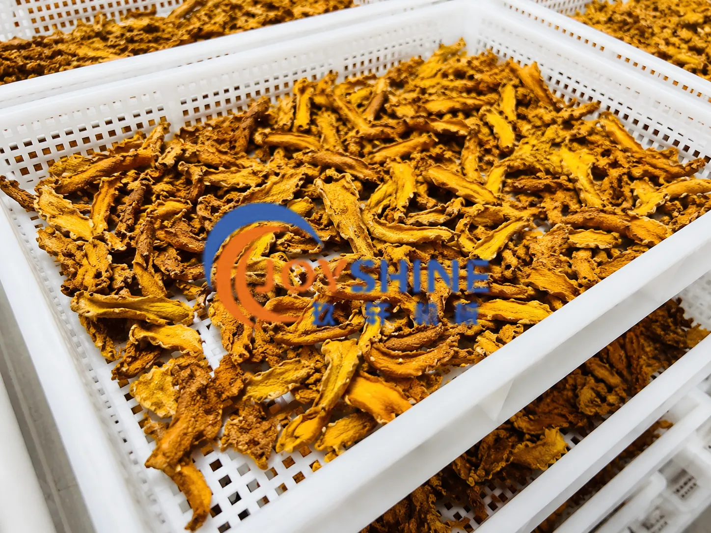 Finished dried turmeric with preserved natural color