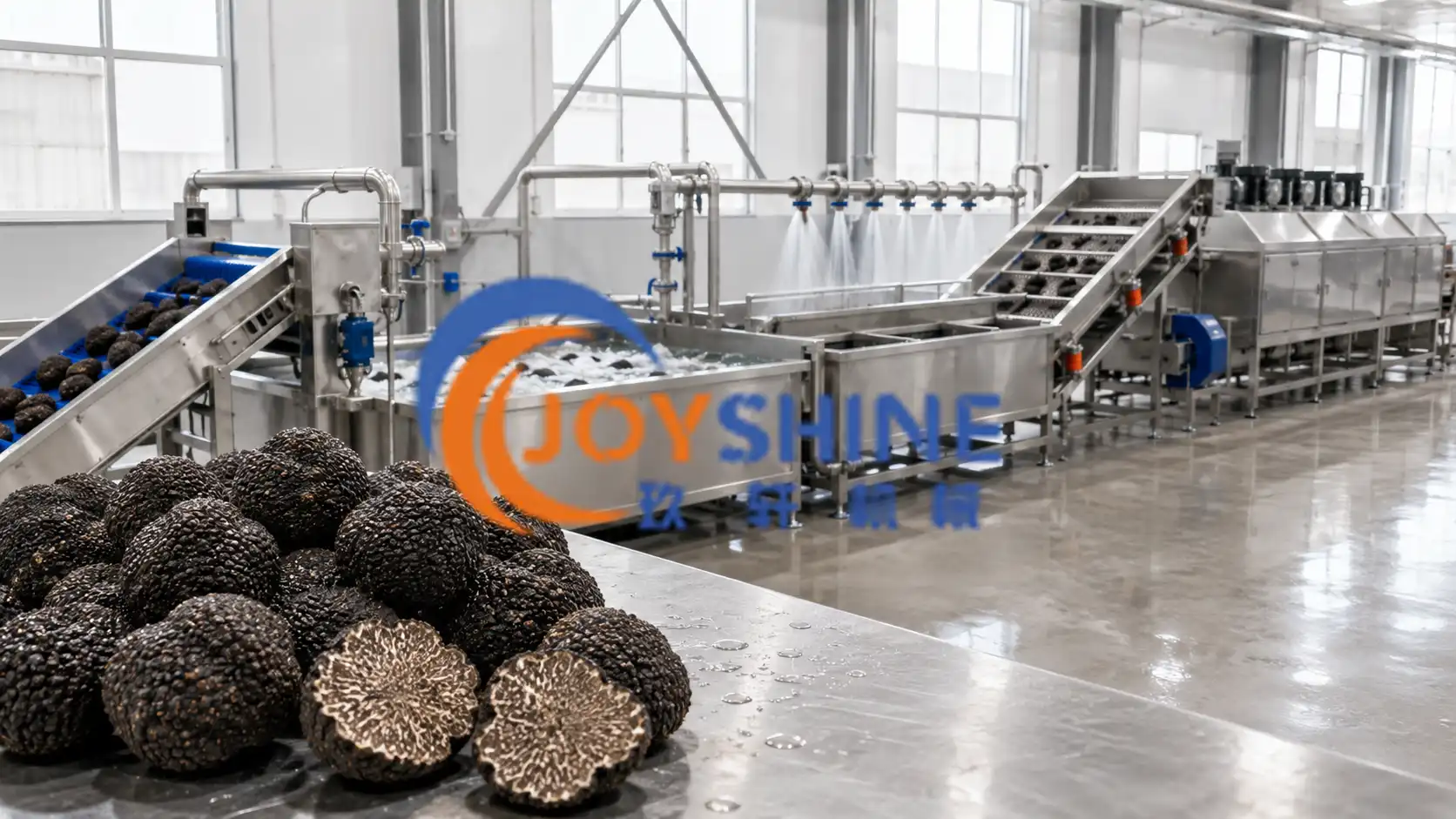 How to Build a Black Truffle Washing and Air-Drying Line