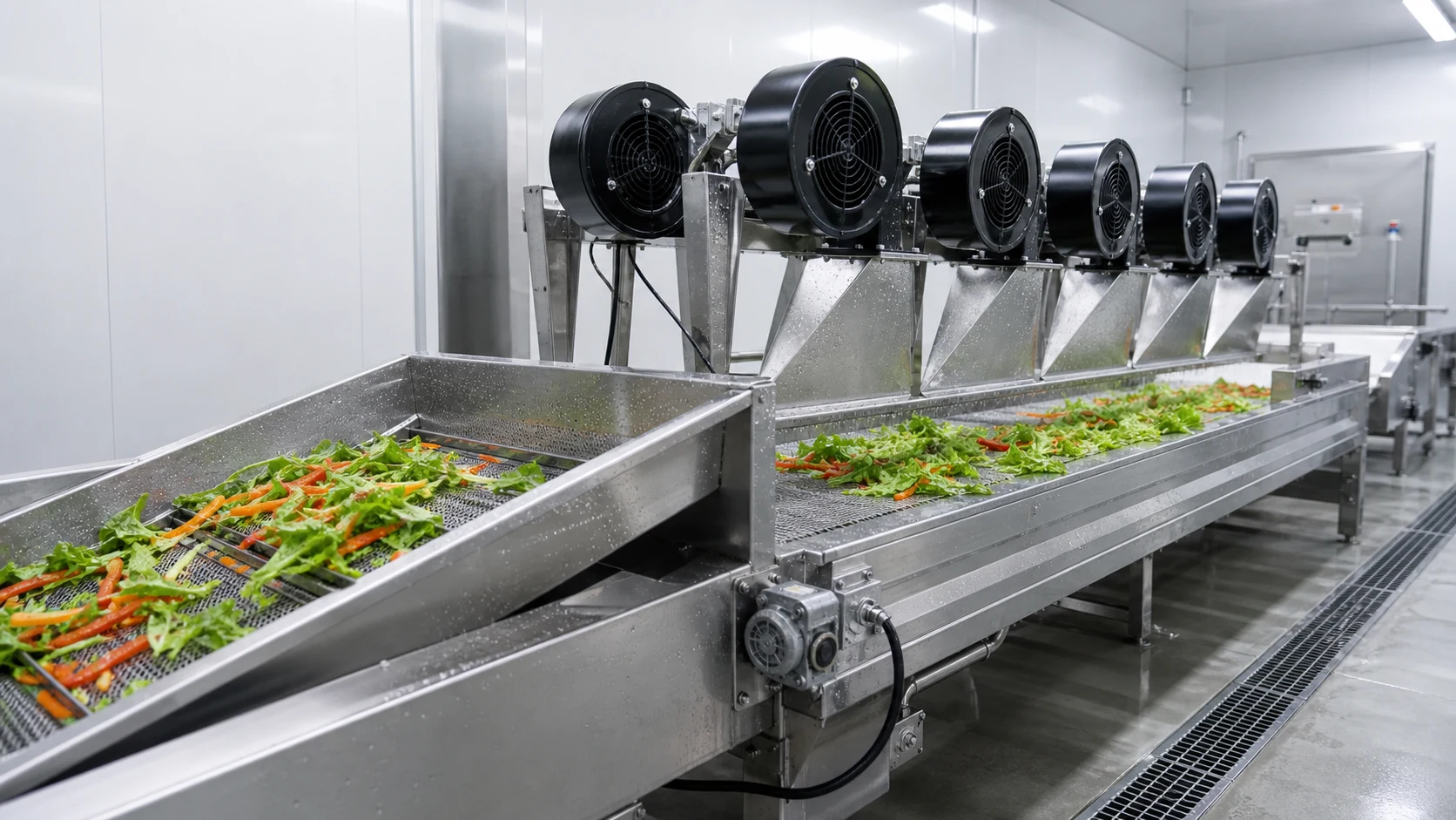 dewatering and air drying section for washed vegetables