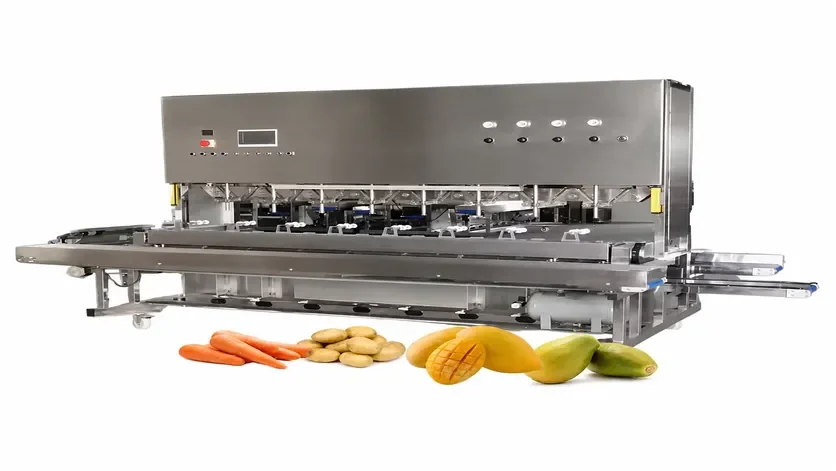 How to Set Up a Ginger and Garlic Powder Production Line: From Washing to Packaging