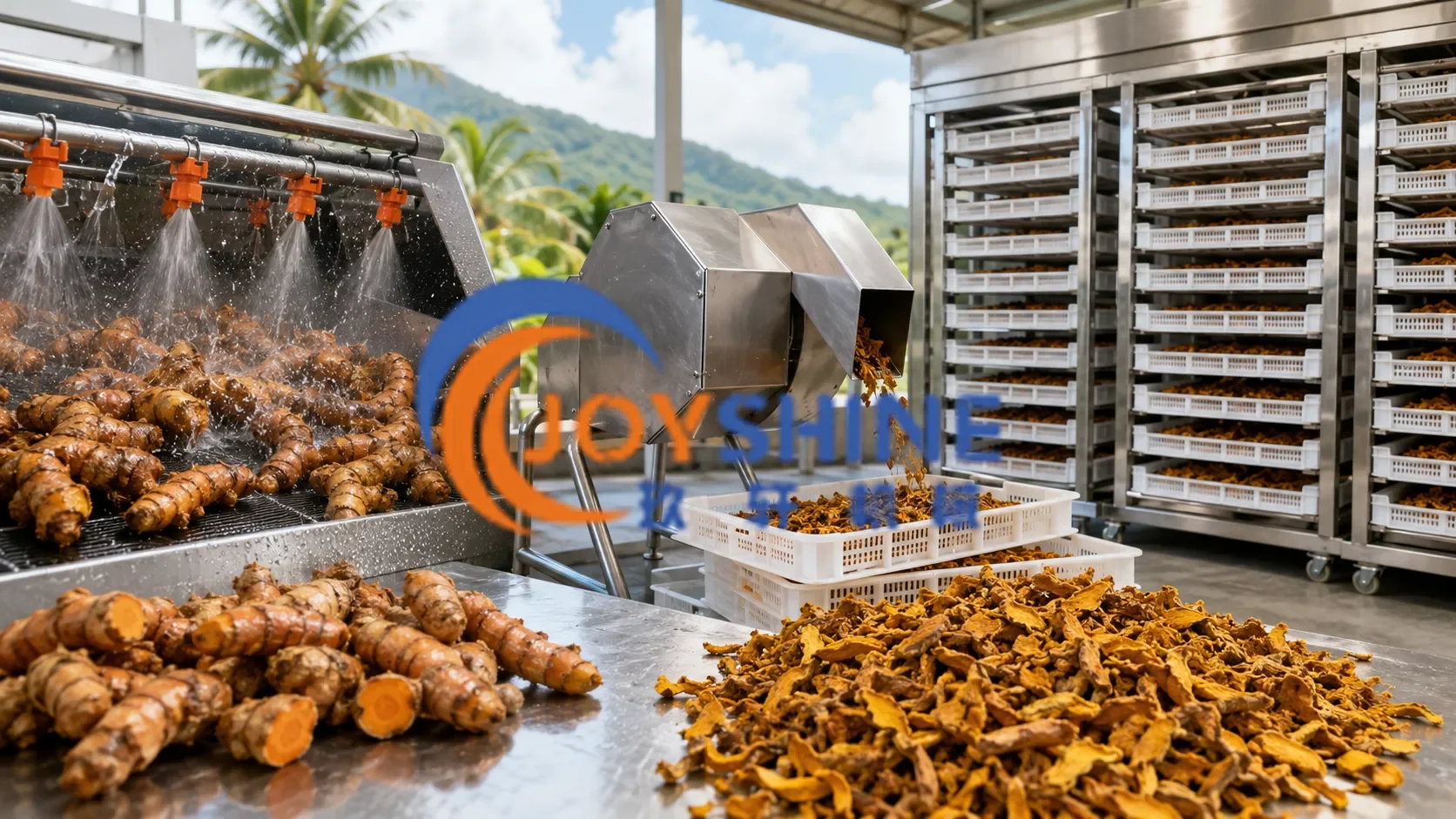 Complete turmeric washing, cutting, and drying line